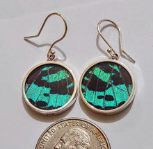 Load image into Gallery viewer, real butterfly wing jewelry, real butterflies in jewelry, butterfly wings in jewelry, butterfly wing jewelry
