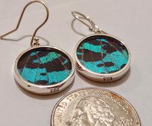 Load image into Gallery viewer, real butterfly wing jewelry, real butterflies in jewelry, butterfly wings in jewelry, butterfly wing jewelry