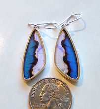 Load image into Gallery viewer, New! wing jewelry, real butterfly, butterfly wing pendant, butterfly wing earrings real butterfly gifts, jewelry with butterfly wings