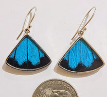 Load image into Gallery viewer, Butterfly earrings, real butterfly wing jewelry, real butterflies in jewelry, butterfly wings in jewelry, butterfly wing jewelry
