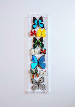 Load image into Gallery viewer, 6&quot;x24&quot;x2&quot; Butterfly Display
