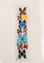 Load image into Gallery viewer, Mounted butterfly art in clear acrylic frame display