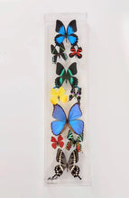 Load image into Gallery viewer, Mounted butterfly art in 6x24 inch clear acrylic frame display