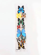 Load image into Gallery viewer, Real framed butterflies preserved in long narrow acrylic frame