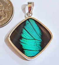 Load image into Gallery viewer, Butterfly wing jewelry, real butterfly, butterfly wing pendant, butterfly wing earrings real butterfly gifts, jewelry with butterfly wings
