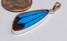 Load image into Gallery viewer, Butterfly wing jewelry, real butterfly, butterfly wing pendant, butterfly wing earrings real butterfly gifts, jewelry with butterfly wings
