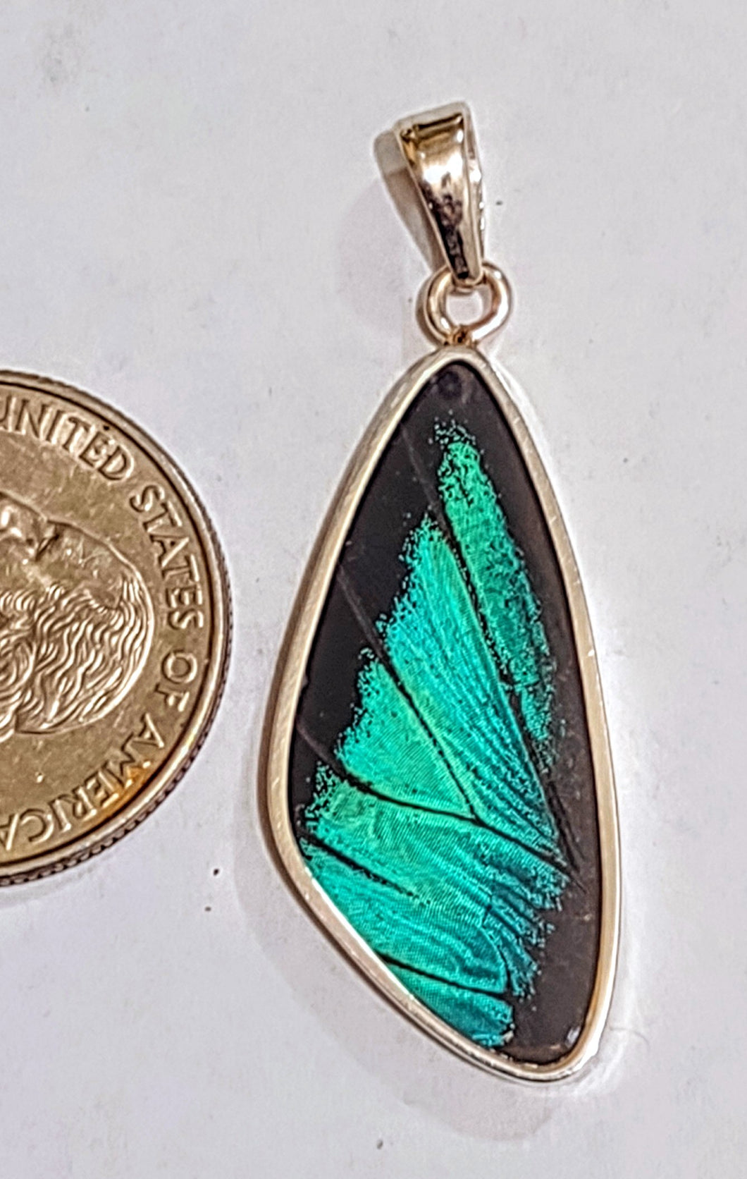 Butterfly wing jewelry, real butterfly, butterfly wing pendant, butterfly wing earrings real butterfly gifts, jewelry with butterfly wings