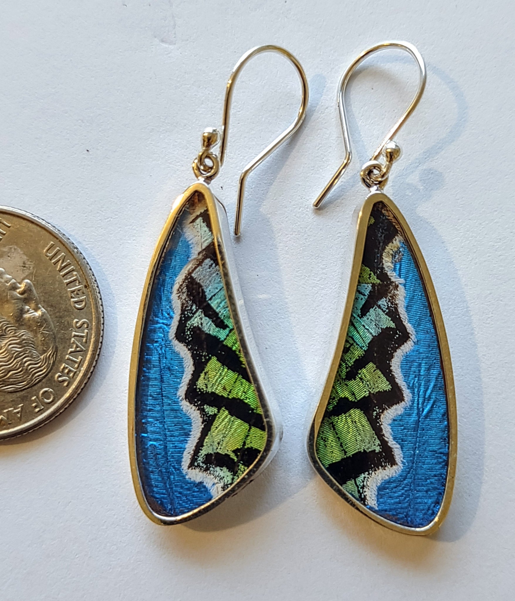 Butterfly Earrings Real Butterfly Wing Jewelry Real Butterflies In J Butterfly Earrings Real Butterfly Wing Jewelry Real Butterflies In J