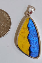 Load image into Gallery viewer, Butterfly wing jewelry, real butterfly, butterfly wing pendant, butterfly wing earrings real butterfly gifts, jewelry with butterfly wings
