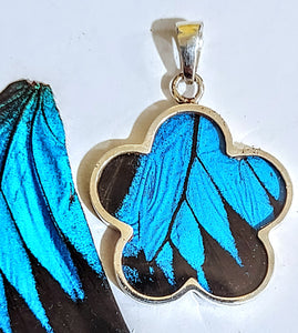 NEW FLOWER SHAPED! wing jewelry, real butterfly, butterfly wing pendant, butterfly wing  earrings real butterfly gifts, jewelry with butterfly wings