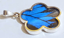 Load image into Gallery viewer, NEW FLOWER SHAPED! wing jewelry, real butterfly, butterfly wing pendant, butterfly wing  earrings real butterfly gifts, jewelry with butterfly wings
