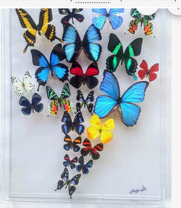 Special discounted order for two 15x20s
