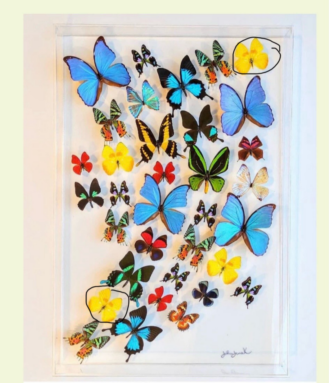 Custom order 20x30, 12x12s