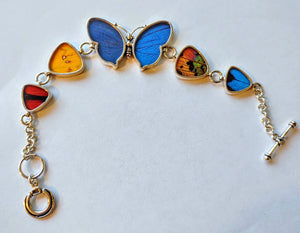 Butterfly wing bracelet, real butterfly, butterfly wing pendant, butterfly wing  earrings real butterfly gifts, jewelry with butterfly wings