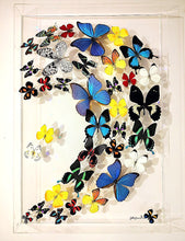Load image into Gallery viewer, 20"x30" Framed Butterflies-Mounted Butterflies-Preserved Butterflies
