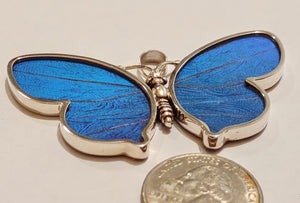 butterfly wing pendant, real butterflies, butterfly pendants, butterfly earrings, real butterfly gifts, jewelry with butterfly wings